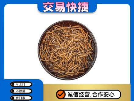 宝鸡市陇县礼品回收虫草.jpg